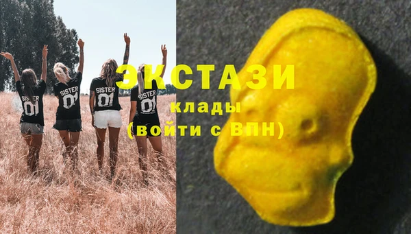 индика Баксан